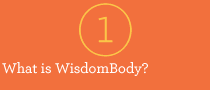 What is WisdomBody?